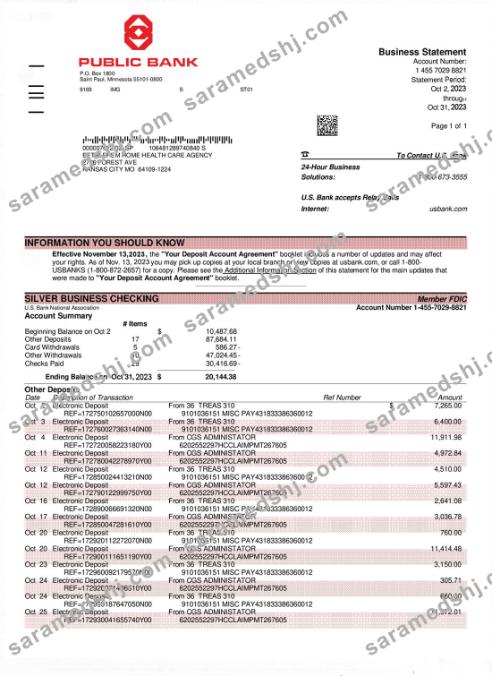 PUBLIC Bank bank statement